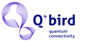 Q-bird